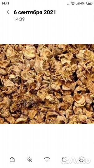 Шелуха кедровой шишки