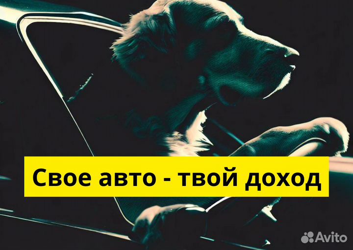 Работай в Яндекс.Go на своем т/с