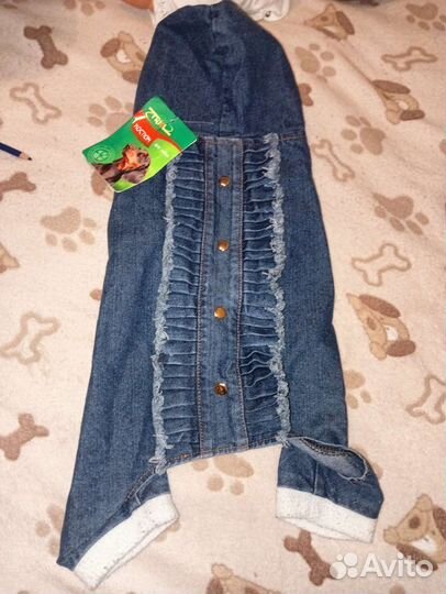 Вещи для собак, трусы, платья, шлейка, намордники