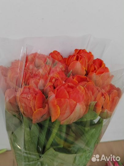 Тюльпаны пионовидные