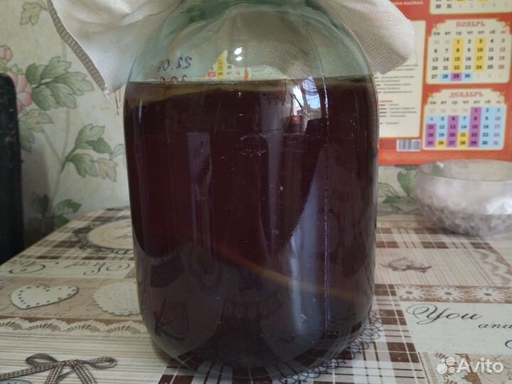 Чайный гриб