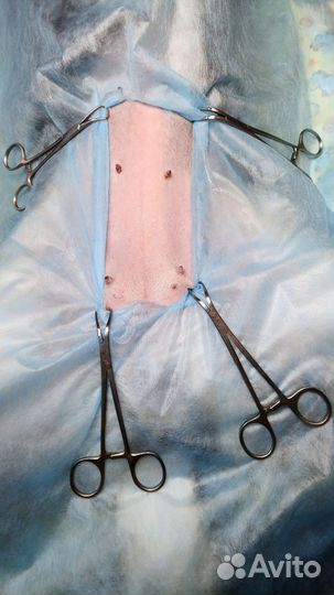 Стерилизация собак и кошек