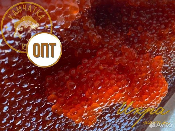 Икра кеты 2023