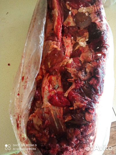 Мясо говядина обрезь для собак