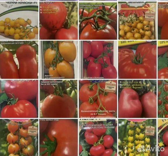 Семена томатов купить в Коврове | Товары для дома и дачи | Авито