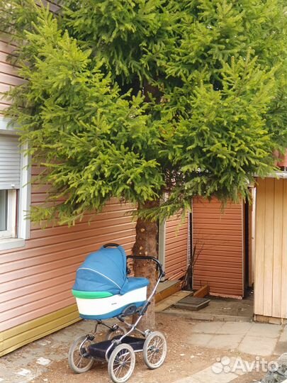 Коляска 2 в 1 Navington Caravel цвет Ямайка