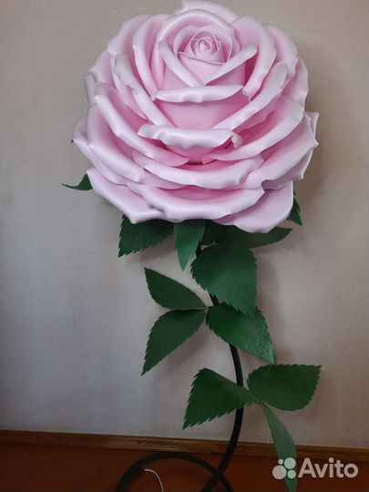 Цветы для интерьера