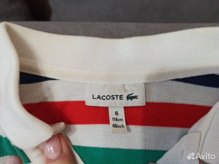 Комплект одежды 116-122 Zara, Lacoste