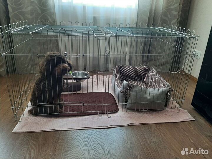 Вольер для собак