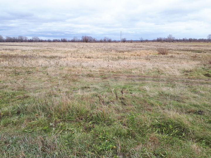 Участок 15 сот. (ИЖС)