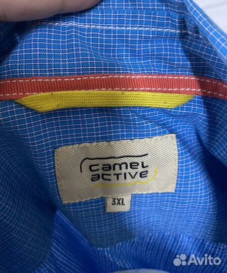 Camel Active (58 xxxl) 3XL