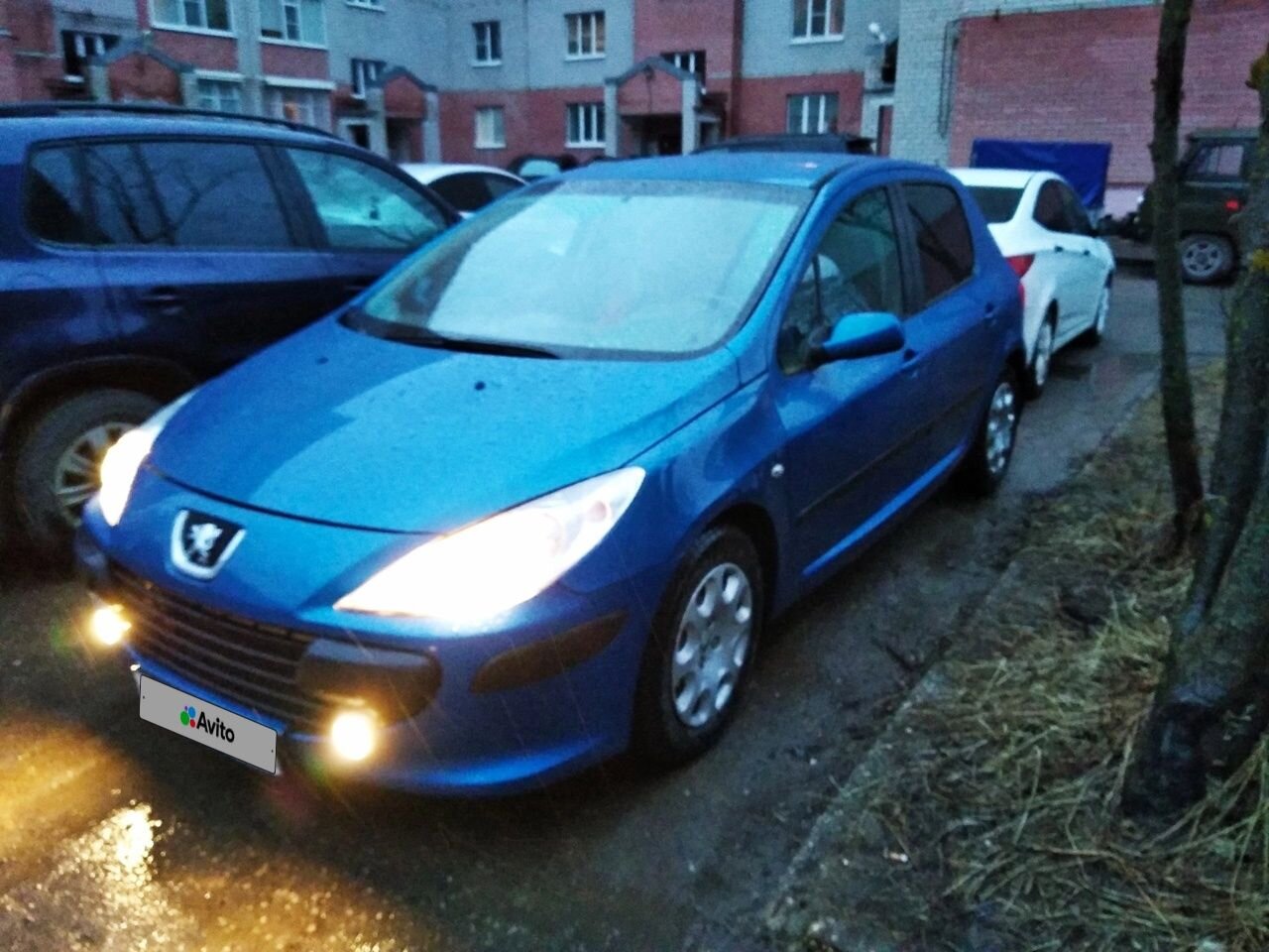 Peugeot 307: фото владельца