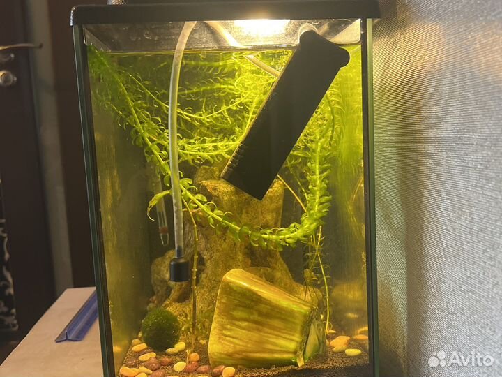 Аквариум с рыбками