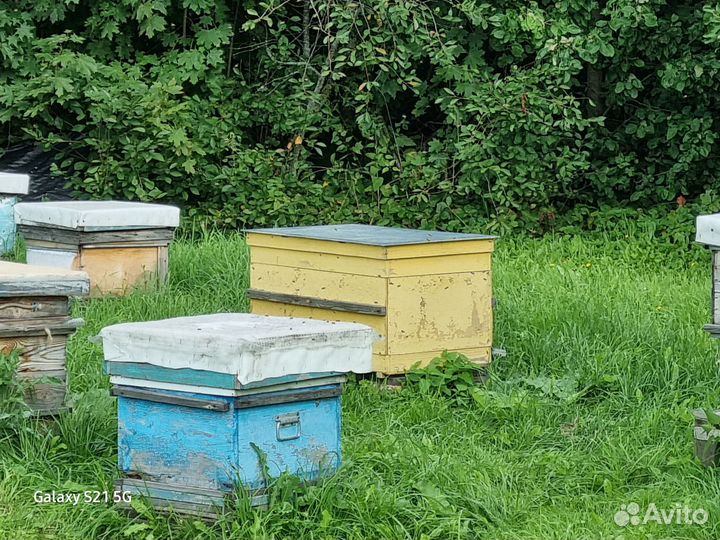 Улей 24 рамки