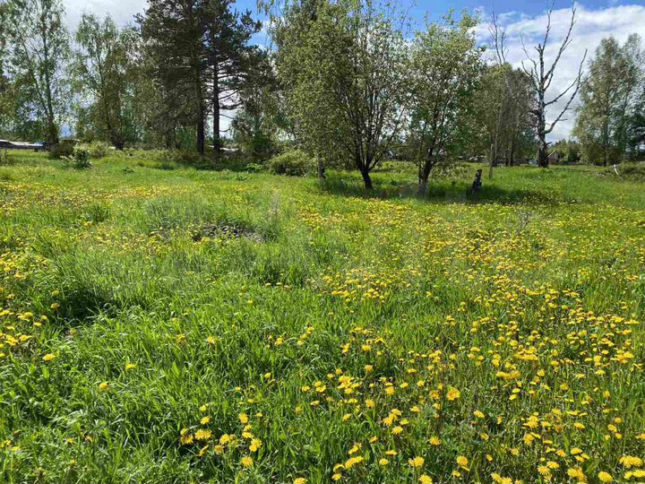 Участок 25 сот. (ИЖС)