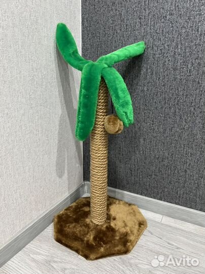 Когтеточка