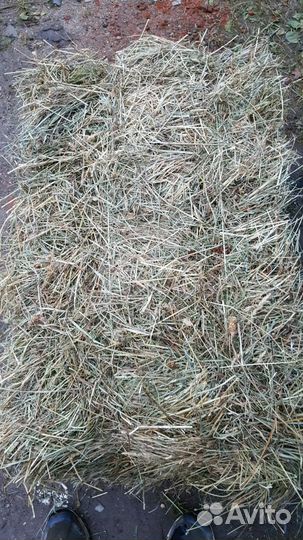 Сено в кипах очень хорошее качество
