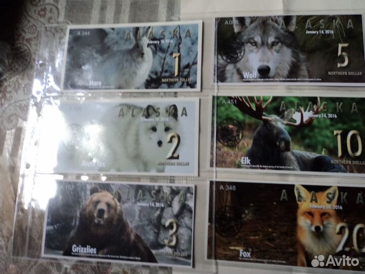 Боны с животными