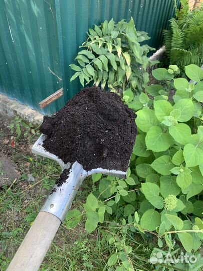Земля для грядок доставка