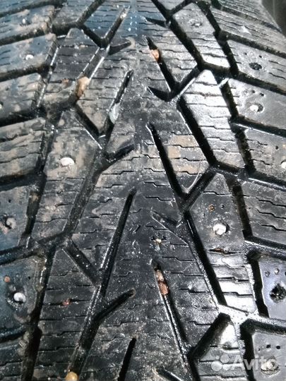 Nokian Tyres Nordman 7 205/50 R17 93T