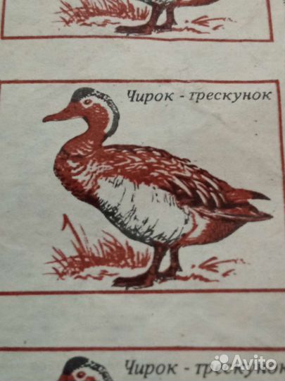 Спичечные этикетки СССР Лист