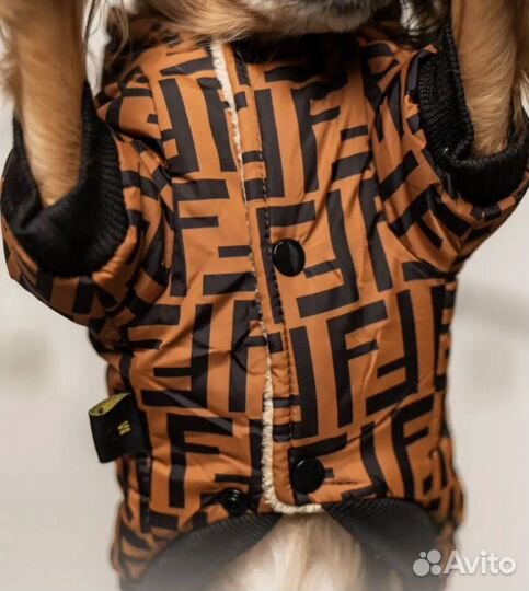 Одежда для собак