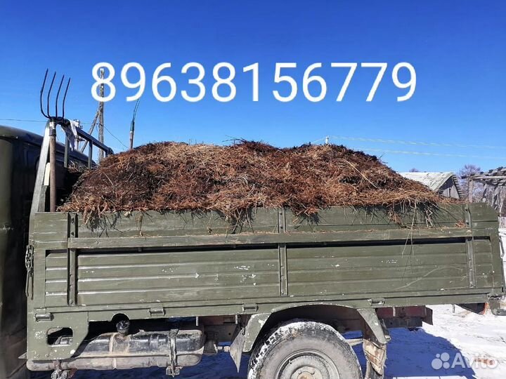 Перегной, навоз