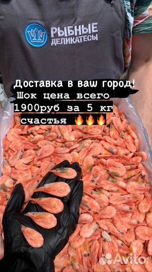 Самая сладкая креветка 2023 год вылова