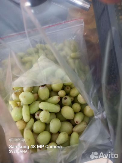 Продаю ягоду