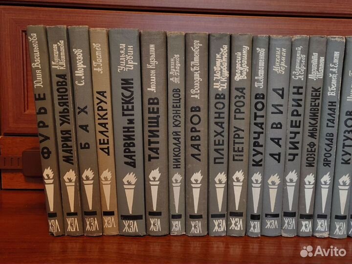 Серия жзл. Издательсво Молодая гвардия