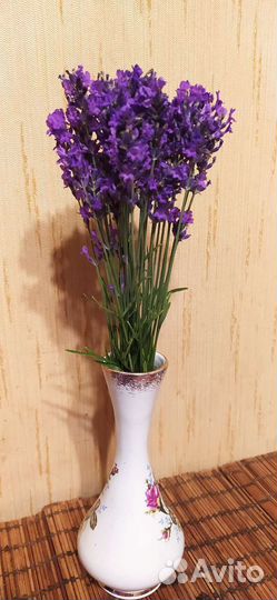 Лаванда сухоцвет