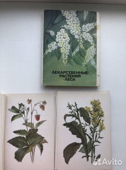 Комплект открыток