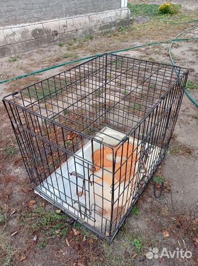 Клетка вольер для большой собаки бу