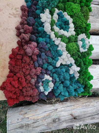 Панно цветное из мха