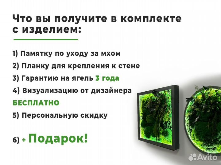 Вывеска мох для компании