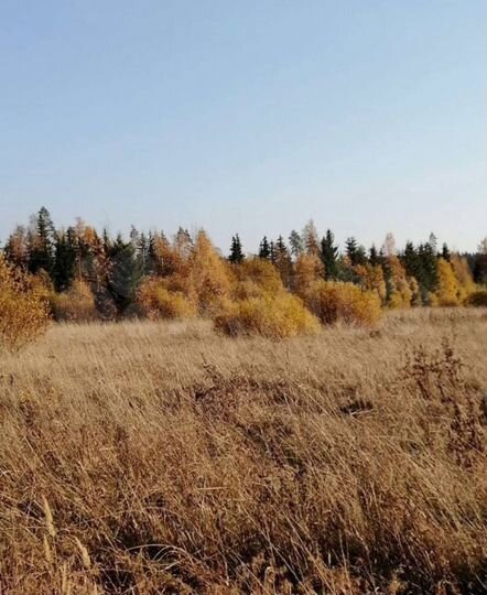 Участок 3,4 га (СНТ, ДНП)