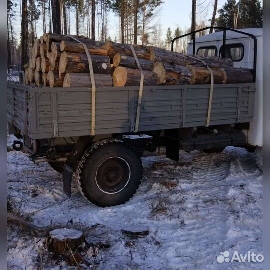 Дрова сухие