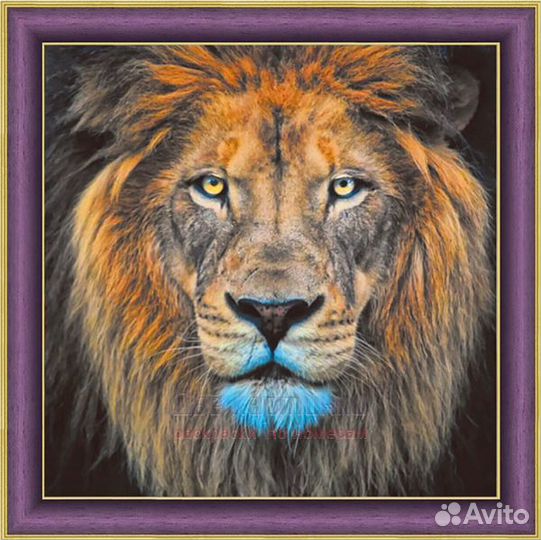Алмазная мозаика 30x30 Портрет льва