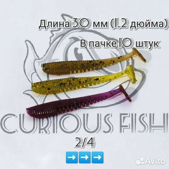 Curious Fish Saruna 1,2 дюйма (30мм)