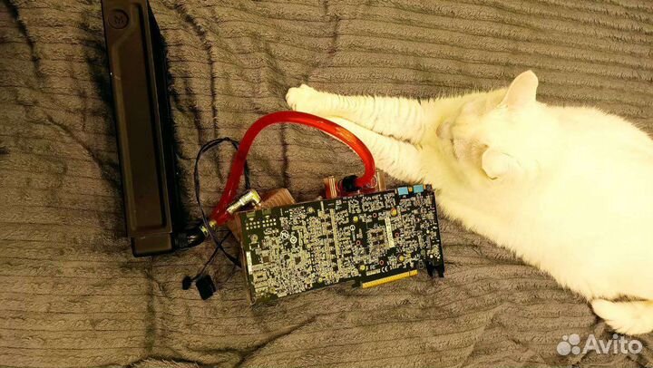 Gtx 1080 ti gigabyte