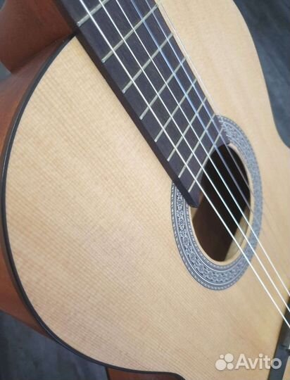 Новая Гитара Cort AC100 OP и новый чехол Phil Pro