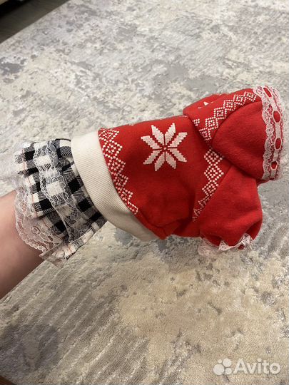 Одежда для маленьких собак