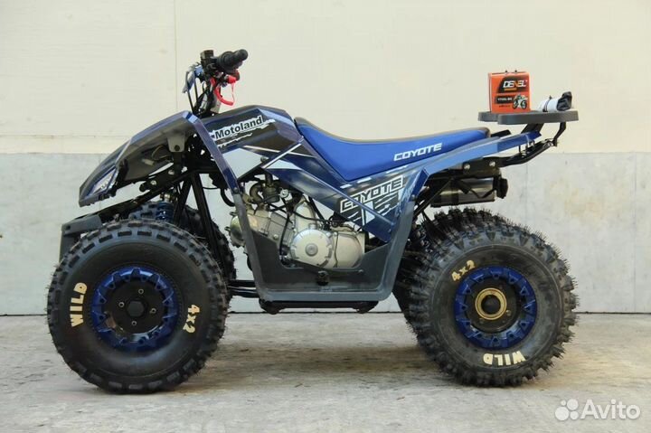 Квадроцикл Motoland Сoyote 125 витринный