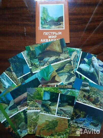 Набор открыток СССР