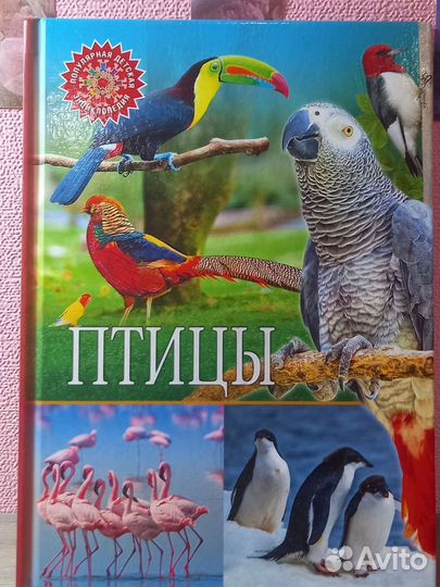 Энциклопедия про птиц