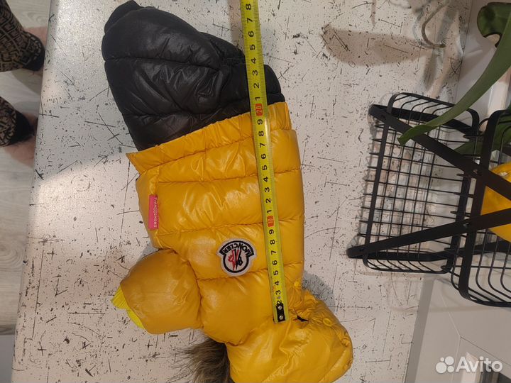 Куртка для собак мелких пород