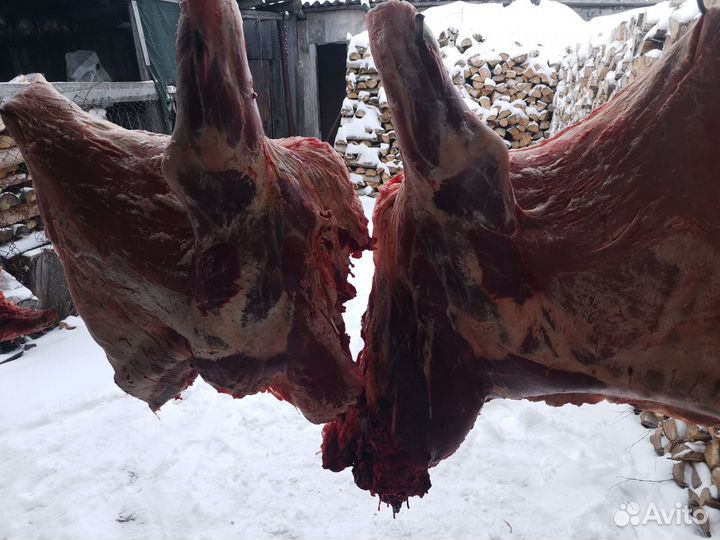 Продам мясо телятина деревенская)