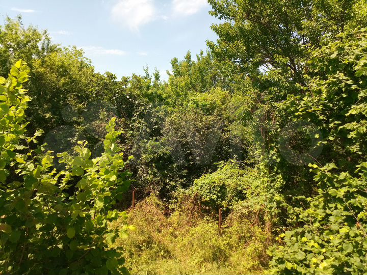 Участок 42,2 сот. (ИЖС)