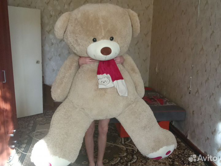 Плюшевый медведь