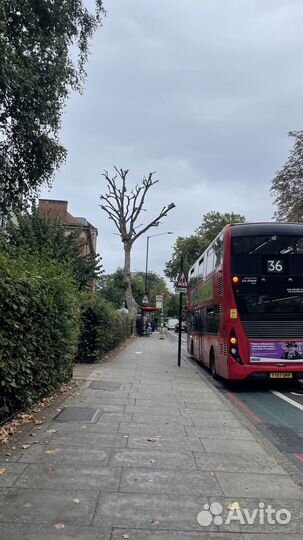 Учитель английского языка